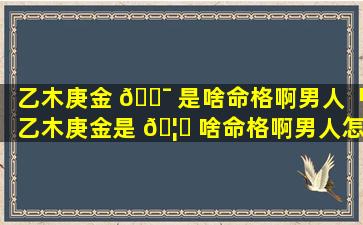 乙木庚金 🐯 是啥命格啊男人「乙木庚金是 🦉 啥命格啊男人怎么样」